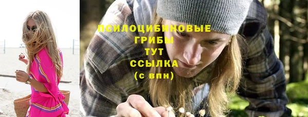 соль ск Алексин
