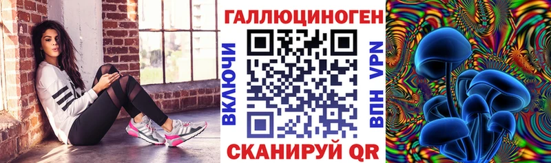 blacksprut маркетплейс  Пущино  Галлюциногенные грибы MAGIC MUSHROOMS 